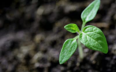 🌿🤝 Appel à projets sur des contrats à impact